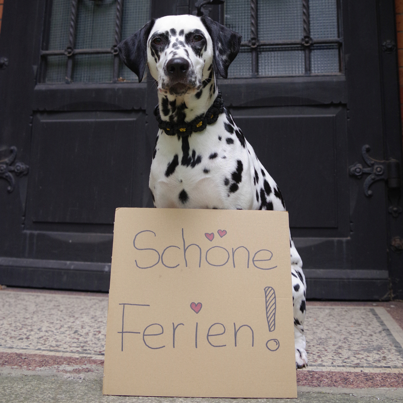 ferien 24